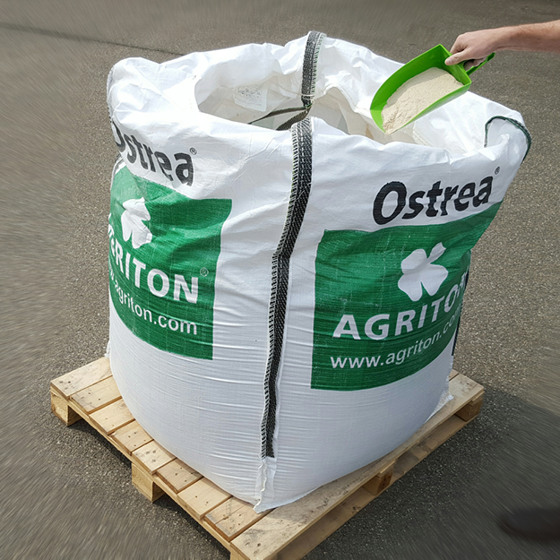 Ostrea Velthof Export